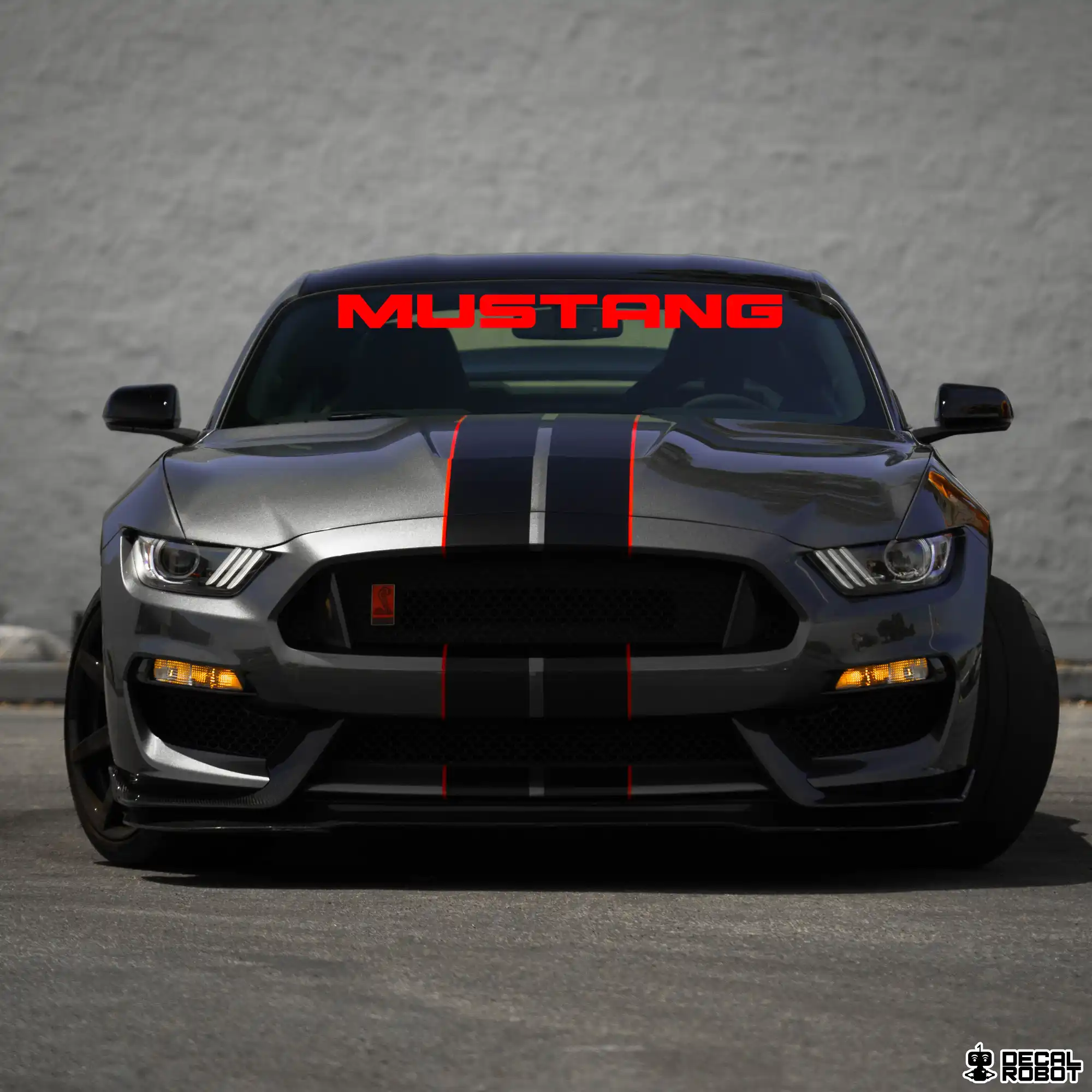 Mustang Windshield Banner